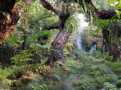 -Chom Cafe and Restaurant