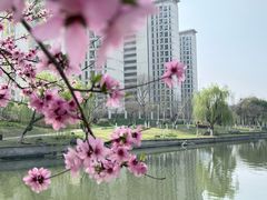 -映月湖中央公园