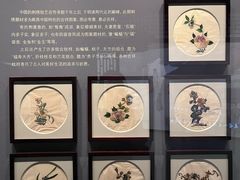 -四川大学博物馆