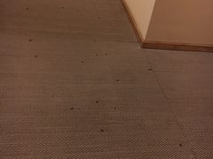 -全季酒店(上海漕河泾店)