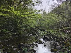 -宁海森林温泉