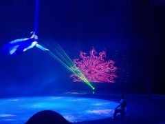 -兴芮温泉度假区