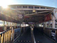 -武汉关码头(轮渡站)