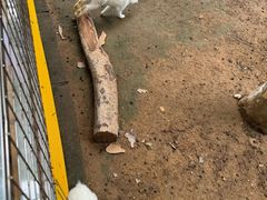 -北戴河集发农业梦想王国