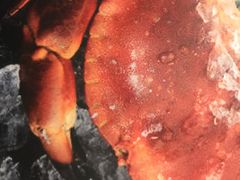 -新净雅烹小鲜(学院路店)