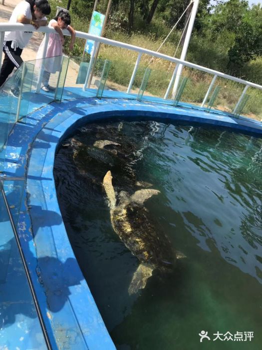 北戴河圣蓝海洋公园图片