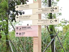 -大湾区中央湿地公园