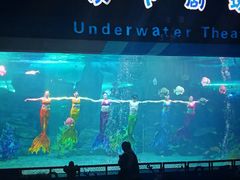 -泉城欧乐堡海洋极地世界