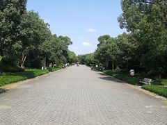 -上海海湾国家森林公园