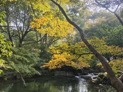 -中国茶叶博物馆(双峰馆区)
