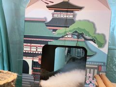 -喵喵咪呀布偶猫咖(春熙路店)