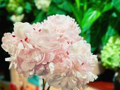 -花二家·生活馆(六运小区店)