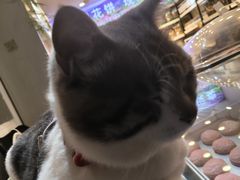 -大理.老字号渝记酸萝卜乌鱼(古城总店)