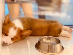 -乐宠宠物店(世纪金源店)