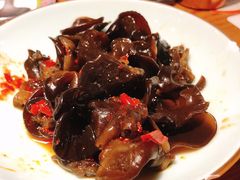 天山野木耳-塔哈尔·新疆盛宴(城西银泰店)