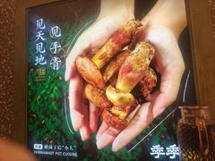 -季季山·云南野生菌火锅(上海首店)