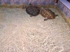 -常州海昌海洋探索馆