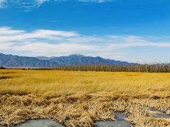 -野鸭湖国家湿地公园