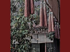 -祝家花園(伯渎港店)