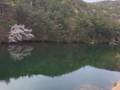 -无染寺