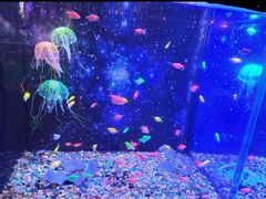 -常州海昌海洋探索馆