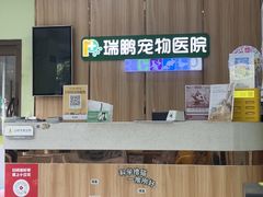 -瑞鹏宠物医院·夜间急症·心超·猫科(祖庙分店)