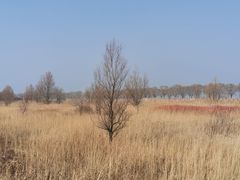 -野鸭湖国家湿地公园