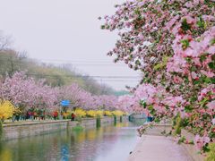 -海棠花溪(元大都城垣遗址公园)