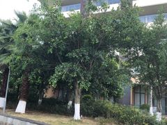-西昌邛海湾柏樾酒店(原邛海湾柏栎度假酒店)