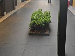 -阿伟海鲜楼·福建菜(涵江店)