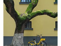 -颐和路民国时期公馆-风貌区