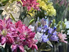 -双季花艺园艺市场(浦东店)