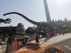 -陕西自然博物馆