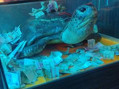 -胖子烧烤海鲜(亲贤北街店)
