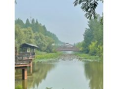 -黄海国家森林公园