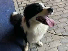 -恒之健私人定制健身(成山店)