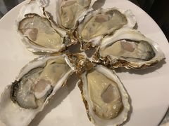 -千岛蚝高压锅生蚝·人参火锅(白云万达店)