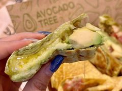 -油梨树AVOCADO TREE(嘉里中心店)