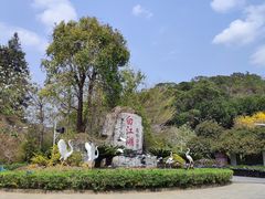 -广州白江湖森林公园