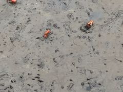 -北海金海湾红树林生态旅游区