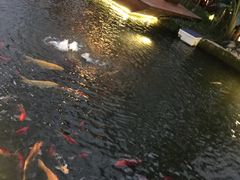-汤山翠谷生态餐厅