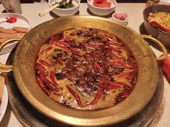 -小龙坎火锅(全球总店)