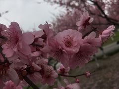 -白塘生态植物园