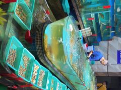 -海大大蒸汽海鲜餐厅·粤菜·特色小炒(欢乐颂店)