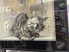 -FAELING PETS美天灵宠物(富力广场店)
