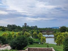 -张坝桂圆林公园