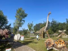 -西部长青自然儿童乐园