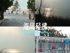 -养马岛旅游度假区