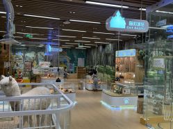 -小象动悟公园(龙湖亦庄天街店)