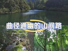 -宁海森林温泉